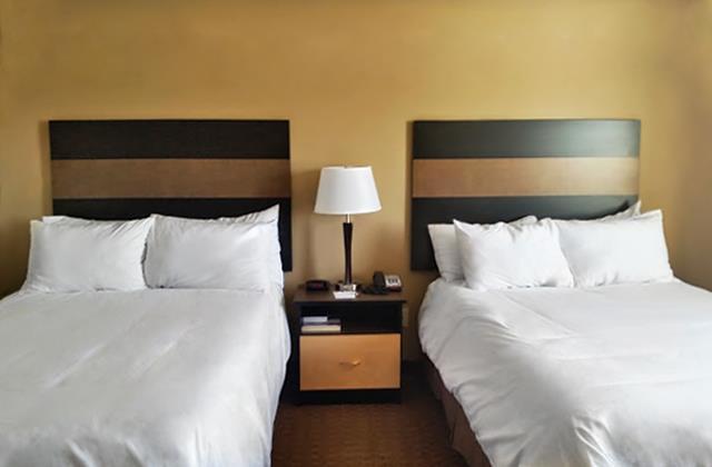 Welcome Suites - Minot, Nd Ruang foto